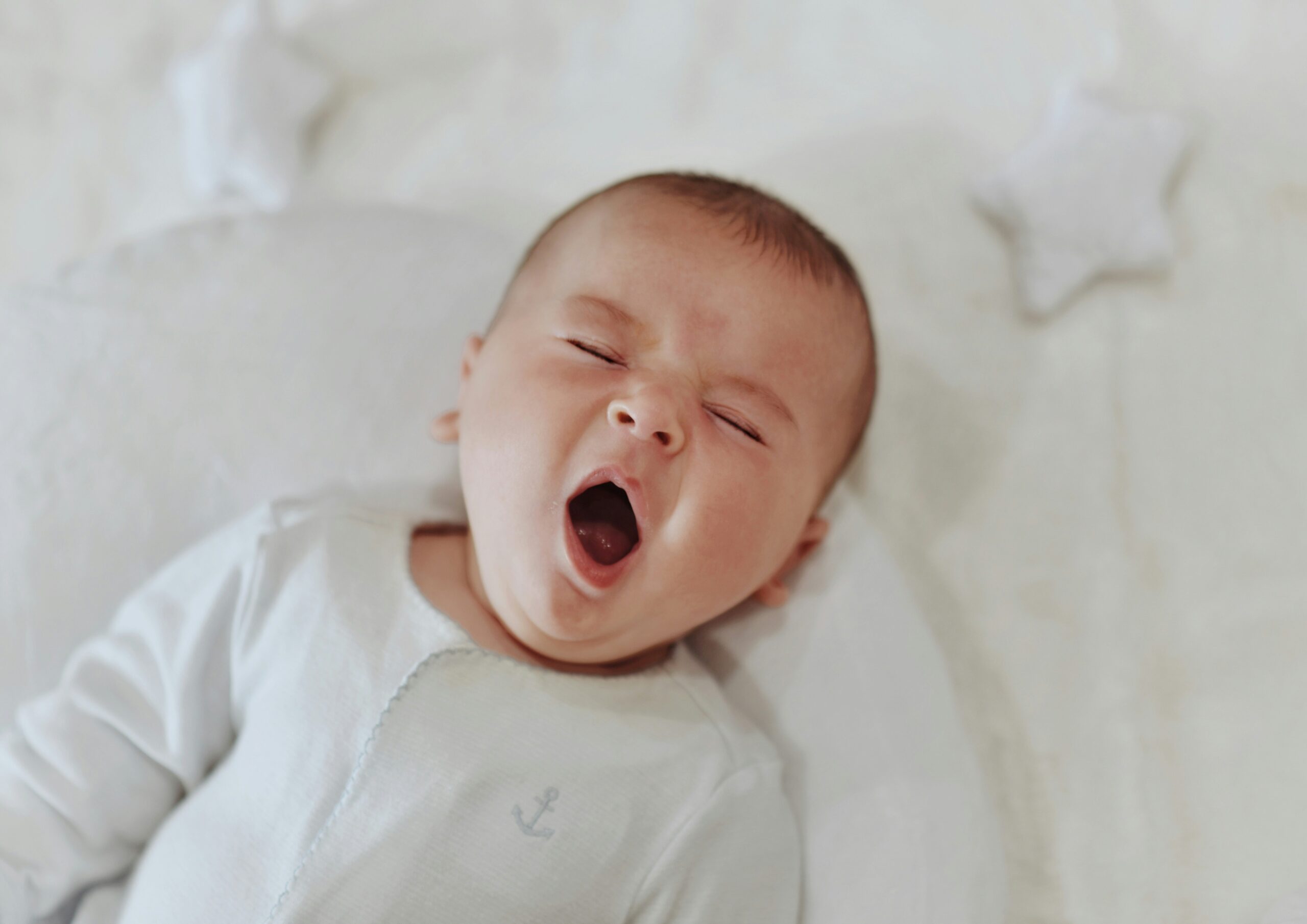 leah-hetteberg-75-fSh1mc7M-unsplash