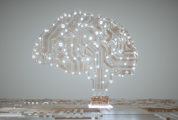 circuit brain circuit of brain